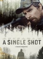 A Single Shot (2013) Scènes de Nu