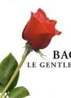 Bachelor gentleman célibataire 2003 - present film scènes de nu