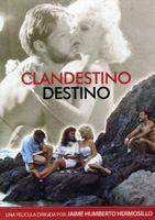 Clandestino destino (1987) Scènes de Nu