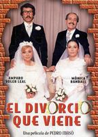 El divorcio que viene (1980) Scènes de Nu