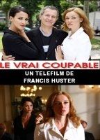 Le vrai coupable 2007 film scènes de nu