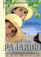Pajarico (1997) Scènes de Nu