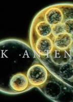 Alice In Chains: Black Antenna scènes de nu