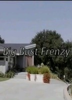 Big Bust Frenzy 2007 film scènes de nu