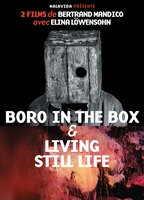 Boro in the Box (2011) Scènes de Nu