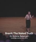 Brexit: The Naked Truth  2019 film scènes de nu