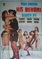 Kis Bekari (1978) Scènes de Nu
