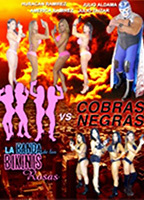 La banda de los bikinis rosas vs Cobras negras  2013 film scènes de nu