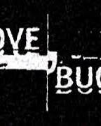 Love Bugs (2004-2007) Scènes de Nu