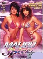 Malibu Spice 1991 film scènes de nu