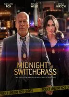 Midnight in the Switchgrass (2021) Scènes de Nu