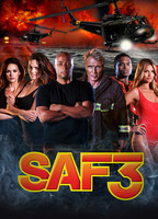 SAF3 (2013-2014) Scènes de Nu