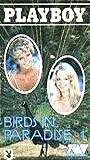 Birds in Paradise (1988) Scènes de Nu