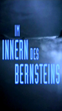 Im Innern des Bernsteins scènes de nu