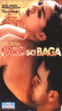 Laro sa baga (2000) Scènes de Nu