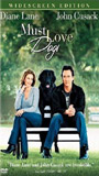 Must Love Dogs (2005) Scènes de Nu