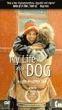 My Life as a Dog scènes de nu