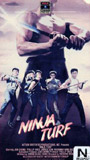 Ninja Turf 1985 film scènes de nu