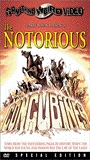 The Notorious Concubines (1969) Scènes de Nu