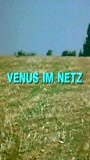 Venus im Netz 2001 film scènes de nu