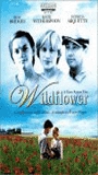 Wildflower 1991 film scènes de nu